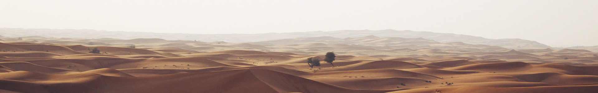 ɽӯó޹˾